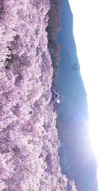清理草坪