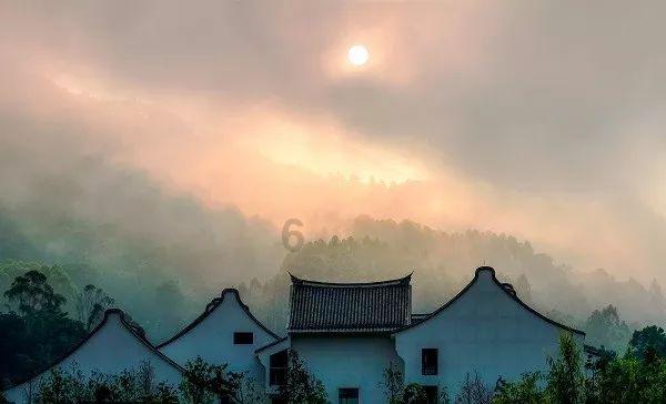 巫师2：刺客之王