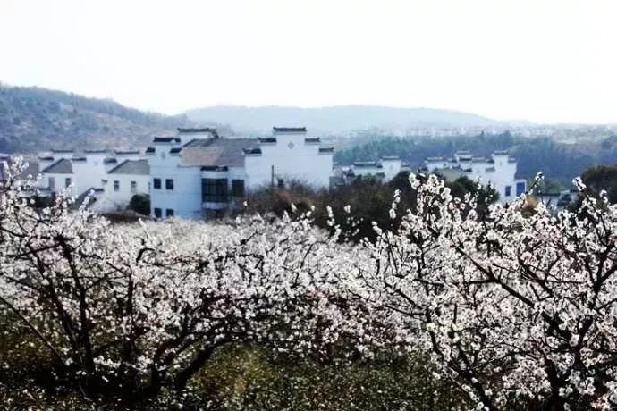 亚当寻找夏娃5