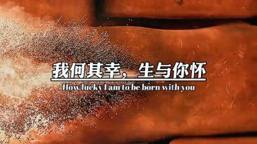 赛马大亨8
