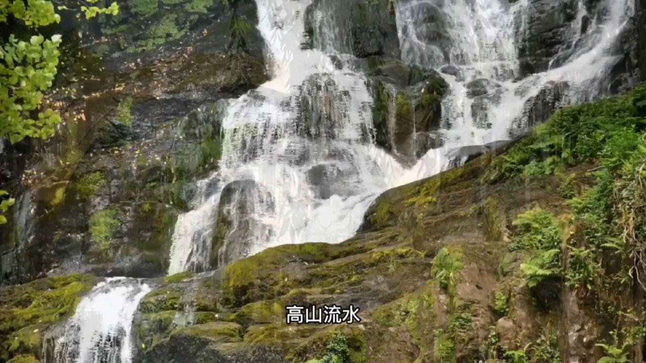 野外生存游戏