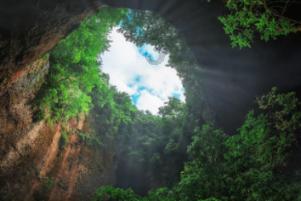 你能逃离此地吗