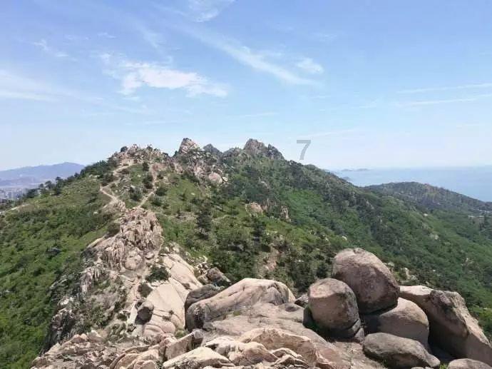 矿工打地鼠
